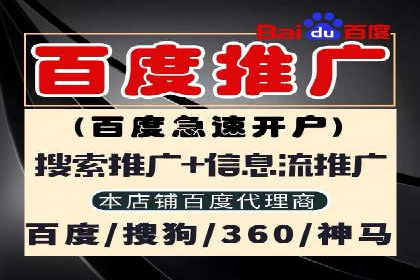 SEM推广案例：打造高效广告投放策略
